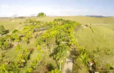 Imagem 3: Belíssima Fazenda 60 Alqueires à venda por R$ 17.000.000,00, Tratorável...