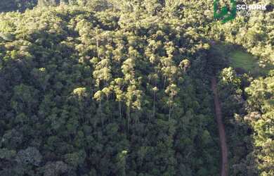 Imagem 11: Sítio à venda, 30142 m² por R$ 190.000,00 - Patrimônio - Massaranduba/SC