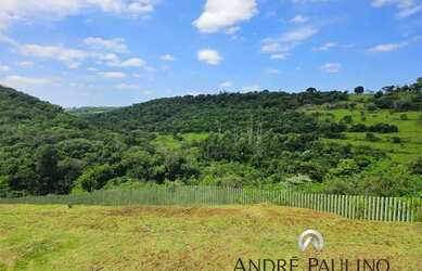 Imagem: O terreno está localizado em Vivendas do Arvoredo, Londrina