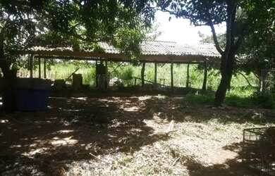 Imagem 16: Fazenda em Flores de Goias - GO, 147 hectares - GO 114