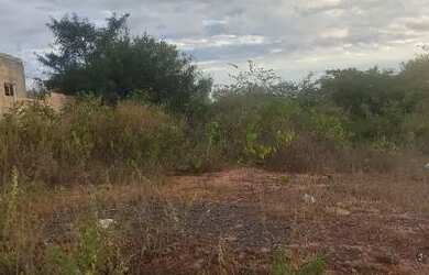 Imagem: O terreno possui 203m² de Área e está localizado em Brasília