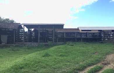 Imagem 11: Fazenda com 53 alqueires na Região dos Lagos, frente para o asfalto