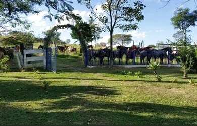 Imagem 2: Venda de fazenda maravilhosa grandiosa