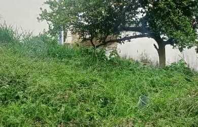 Imagem 4: Linda casa para venda em São Lourenço - MG