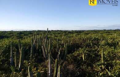 Imagem 9: Excelente Área Para Incorporações de Resort e Pq Aquático