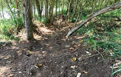 Imagem 9: Terreno com luz individual