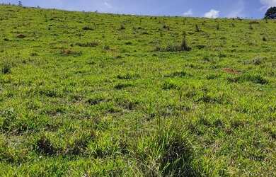 Imagem 9: Vendo terrenos e lotes. 1.000m² de Área