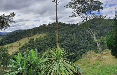 Imagem 14: Lote/Terreno para venda com 21106 m² - Fazenda Juriti - Petrópolis -...