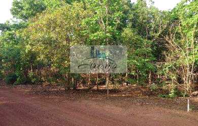 Imagem: O terreno possui 4000m² de Área e está localizado em Porto