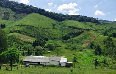 Imagem 8: linda fazenda 42 alqueires em Casimiro de Abreu