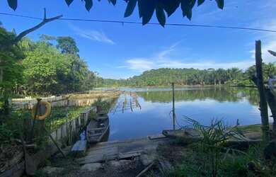 Imagem 6: Vende-se sítio para psicultura na Estrada de Novo Airão km20
