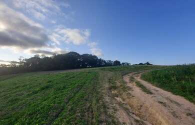 Imagem 2: Lote/Terreno para venda com 1000 metros quadrados em Parque São Luís - São Paulo - SP