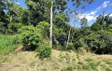 Imagem 1: Terreno à venda, 474 m² por R$ 180.000,00 - Fidélis - Blumenau/SC