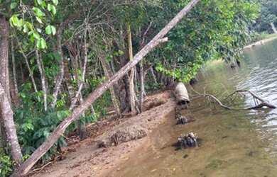 Imagem: A chácara possui 5.687m² de Área e está localizado em Plano