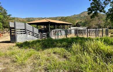 Imagem: A fazenda está localizado em Barrolândia, TO à venda por