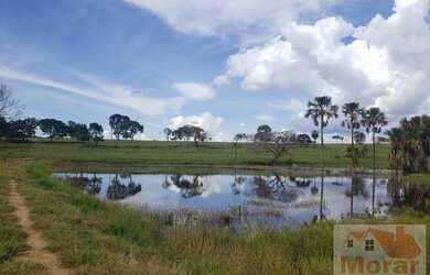 Imagem 13: Fazenda para Venda em Montes Claros de Goiás, Fazendinha