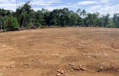 Imagem 14: Terreno para plantação. Piscina, Churrasqueirae600m² de Área