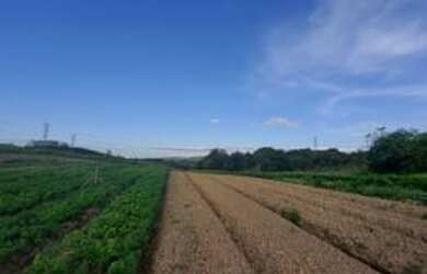 Imagem 10: Lote/Terreno para venda possui 600 metros quadrados em Jardim Helena -...