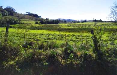 Imagem 6: Chácara com 1 dormitório à venda, 45000 m² por R$ 450.000,00 - Fazenda...