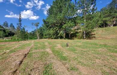 Imagem 6: Lote/Terreno para venda possui 600 metros quadrados em Jardim Paineiras...