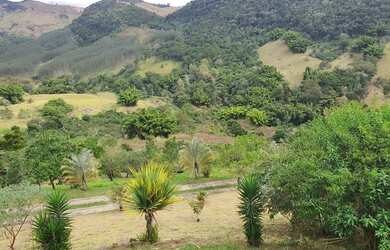 Imagem 7: Lote/Terreno para venda com 21106 m² - Fazenda Juriti - Petrópolis -...