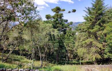 Imagem 13: Terreno à venda, 2170 m² por R$ 550.000,00 - Jaguaribe - Campos do Jordão/SP