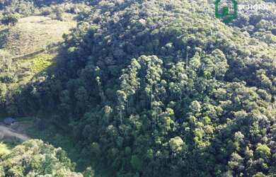 Imagem 9: Sítio à venda, 30142 m² por R$ 190.000,00 - Patrimônio - Massaranduba/SC