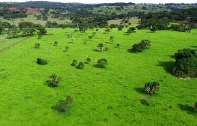 Imagem 4: Linda Fazenda em Goiânia atrás do Aldeia do Vale