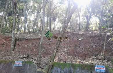 Imagem 3: TERRENO PLANO. 2.353m² de Área