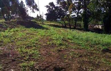 Imagem 6: Terreno à venda, 650 m² por R$ 170.000 - Jardim Casa Branca - Suzano/SP