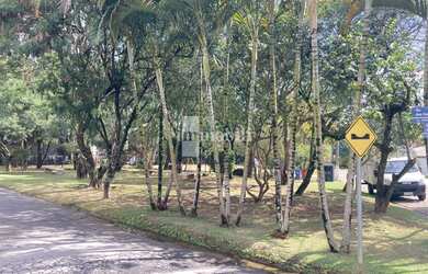 Imagem 4: TERRENO 507 m2 NO CONDOMÍNIO TERRAS DO MADEIRA Km 23