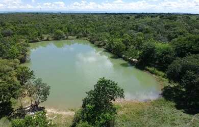 Imagem 12: Fazenda em Flores de Goias - GO, 147 hectares - GO 114