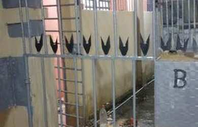 Imagem: A casa possui 2 Dormitórios, 1 Banheiro, Varanda e está localizado