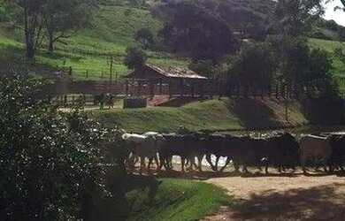 Imagem 14: Linda Fazenda em Santana do Deserto
