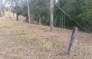 Imagem 11: Chácara de 3 alq. Em Nazário Go. 1.400.000 pega apto em Goiania