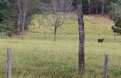 Imagem: A chácara está localizado em Parque Oeste Industrial, Goiânia