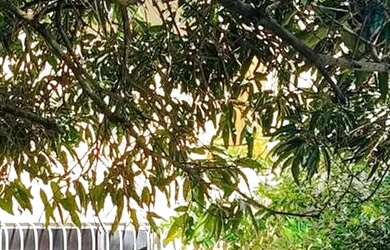 Imagem 8: Oportunidade única Sabrado amplo com piscina e quintal em Manilha - Itaboraí...