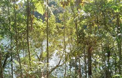 Imagem 7: Super lote pe na agua represa e acesso cachoeira 80 mil reais