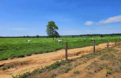Imagem 12: Fazenda a venda, em Mundo Novo - Goiás