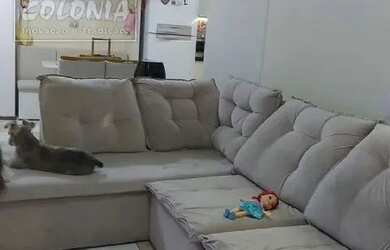 Imagem 2: Apartamento a venda - Vila Curuçá, Santo André