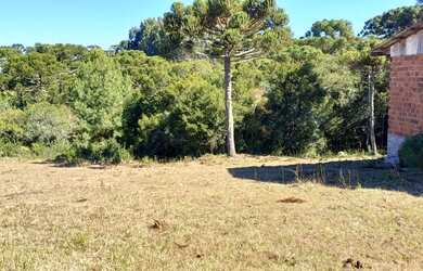 Imagem 14: Chácara em mato queimado 2 km da estrada do Cazuza ferreira