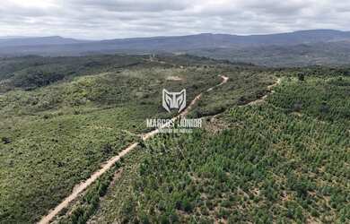 Imagem 4: VENDO FAZENDA PARA PLANTIO DE CAFE, EUCALIPTO OU BATATA NO NORTE MG, GRAO...