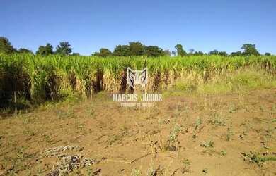 Imagem 5: EXCELENTE FAZENDA DE PECUÁROA NO NORTE DE MINAS PROXIMO A MONTES CLAROS