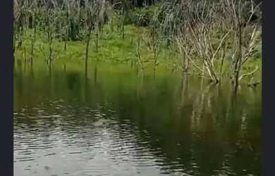 Imagem: A fazenda possui 2.770.000m² de Área e está localizado em