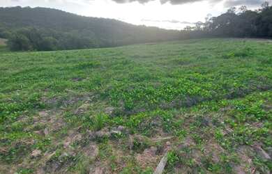 Imagem 4: Lote/Terreno para venda com 1000 metros quadrados em Parque São Luís - São Paulo - SP