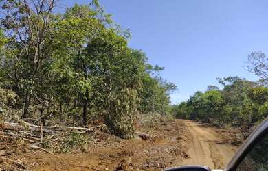 Imagem 6: Faz 115 Alq planta 310 Hec 2 Taiao lavouras ao lado