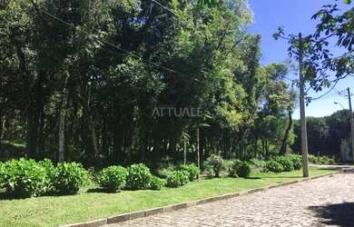 Imagem: Terreno Presépio