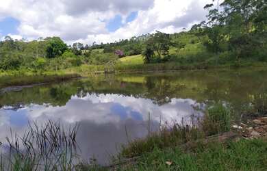 Imagem: A fazenda possui 210000m² de Área e Imóvel novo e está localizado