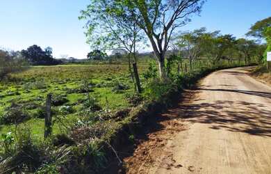 Imagem 5: Chácara com 1 dormitório à venda, 45000 m² por R$ 450.000,00 - Fazenda...