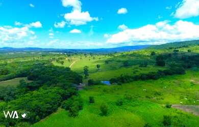 Imagem 14: Vendo Excelente Fazenda de 1.033 hectares na Região de Curvelo MG